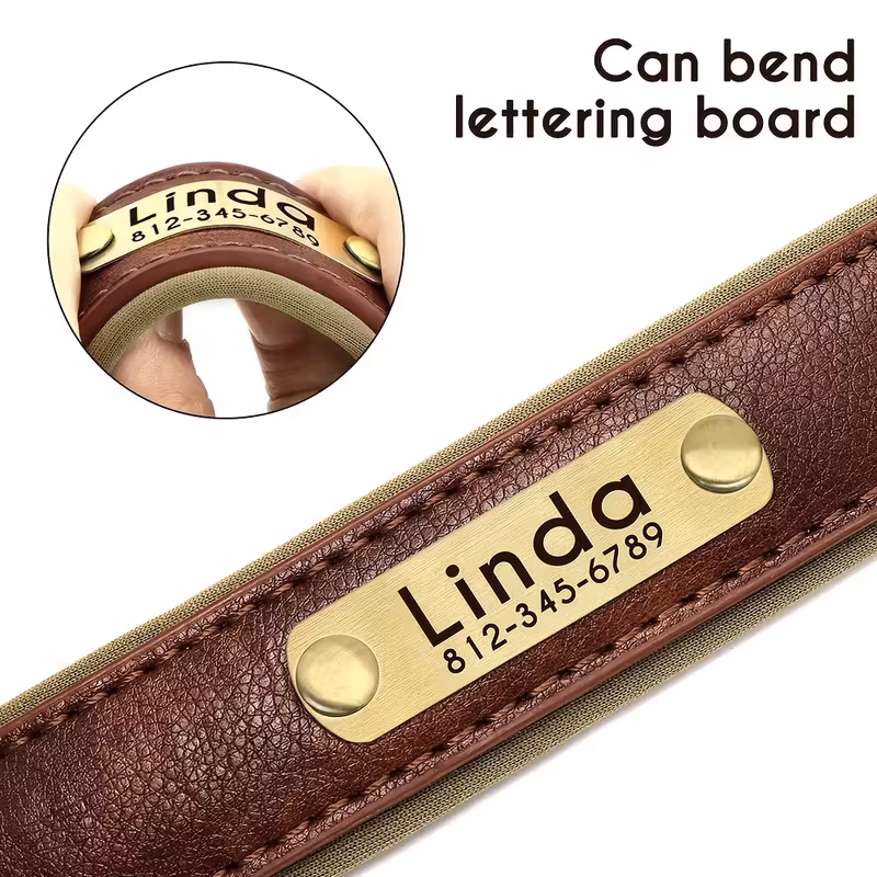 Custom Engraved Dog Collar with Soft Padded Design