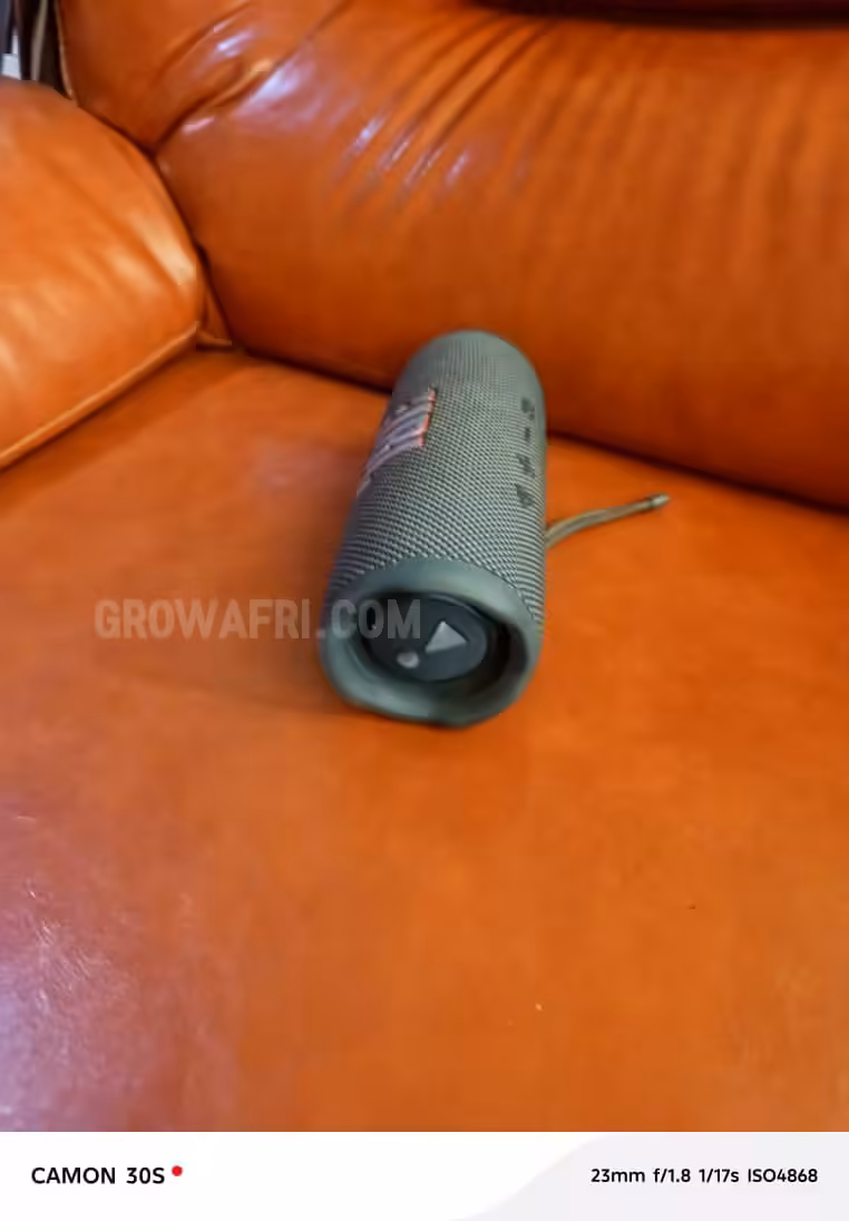 UK used Original JBL Flip6